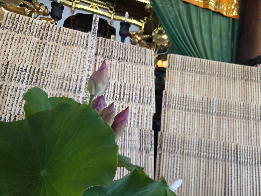 八月十六日 盂蘭盆会施餓鬼法要が奉修されました